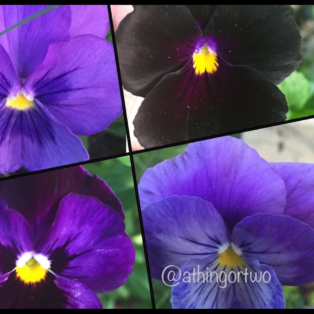 2000+ 5⭐️ REVIEWS